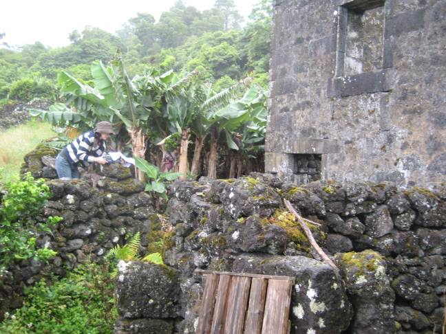 Casa d'Silva's Pico Açores (8)